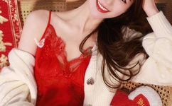 美国人物动物交互